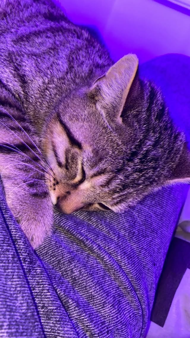 Flavie réaction